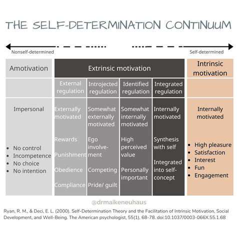 DesigningforIntrinsicMotivation