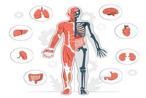 From Virtual Anatomy to Space Exploration: Immersive Learning Unbound